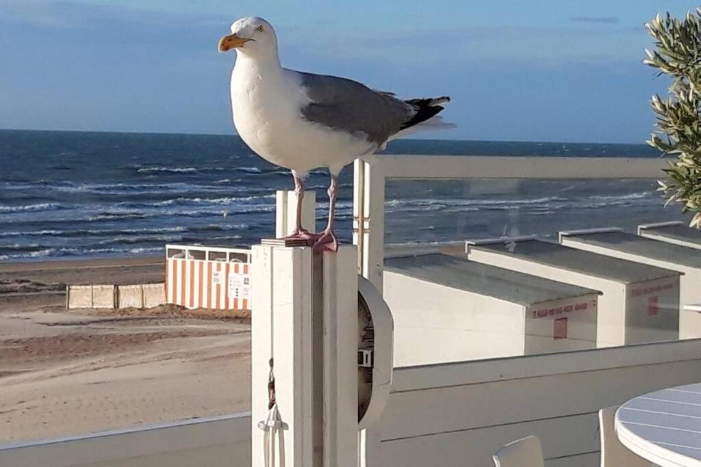 Zeezonzand Coxyde Extérieur photo
